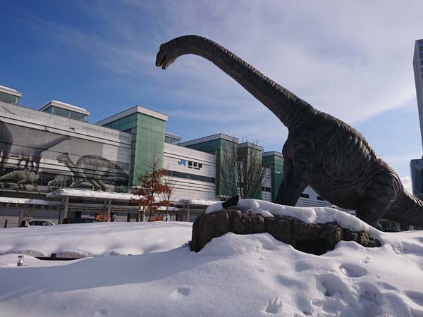 除雪の際、ご注意ください！