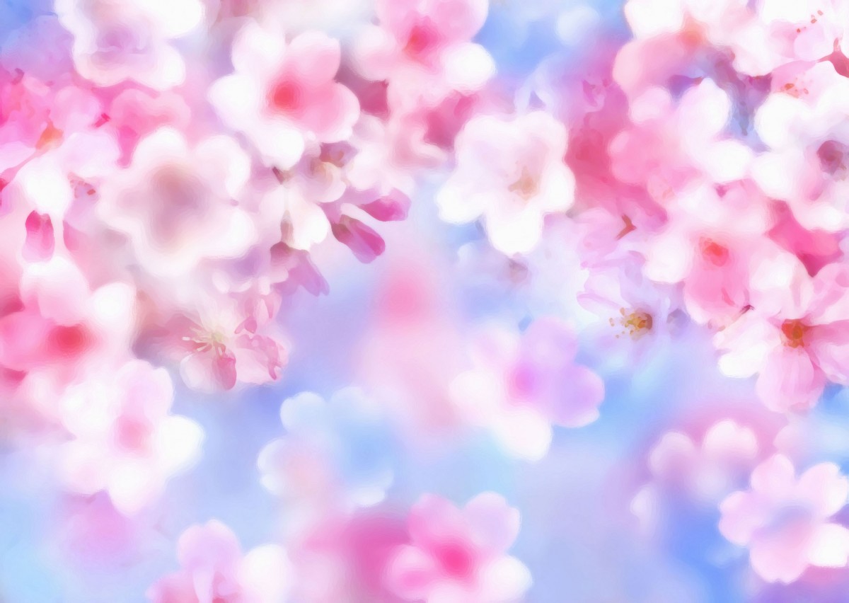 「ありがとう」を伝える